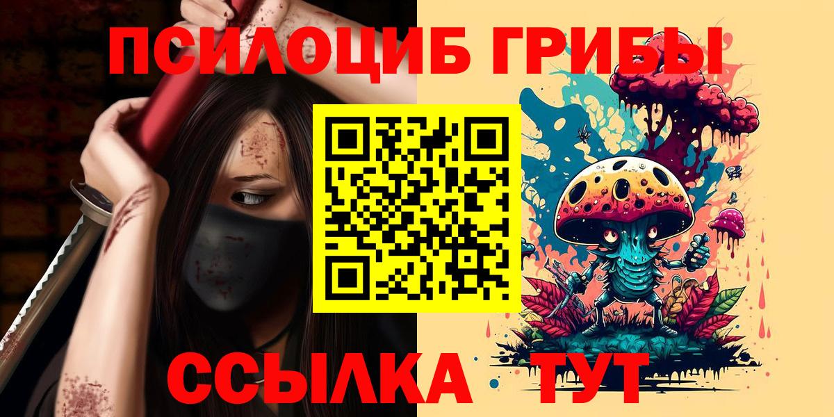 Псилоцибиновые грибы GOLDEN TEACHER Бузулук